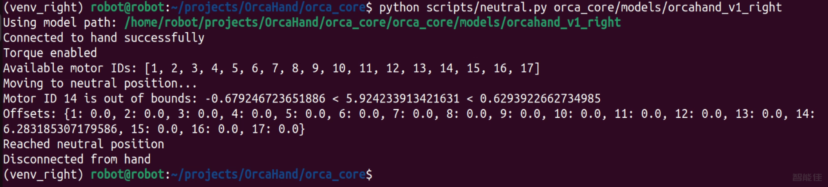 right_Orca Hand-6.png