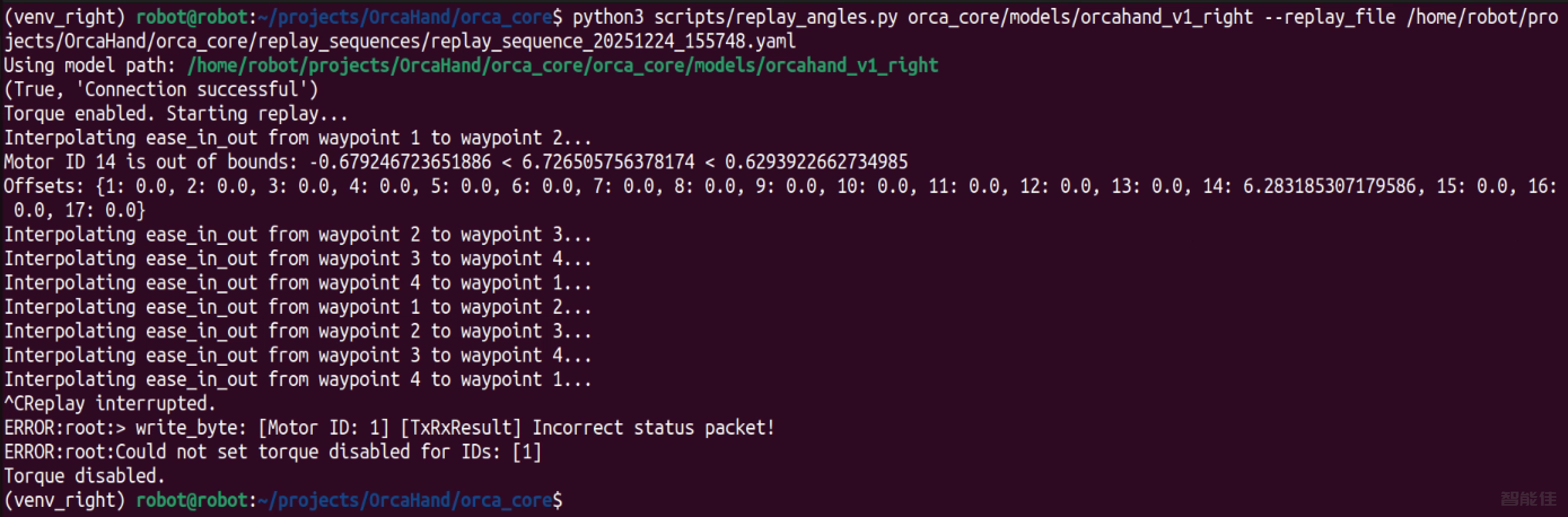 right_Orca Hand-22.png