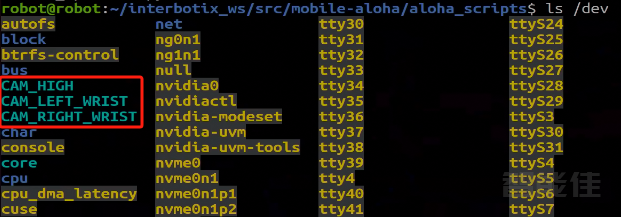 斯坦福Mobile Aloha使用教程-5.设置绑定3个USB摄像头