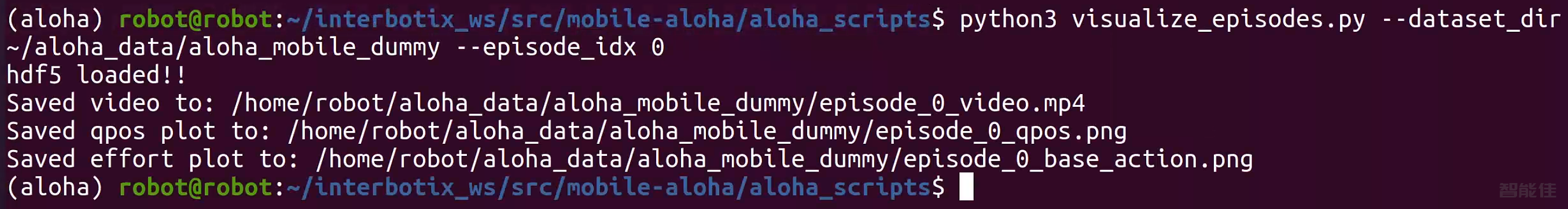 斯坦福Mobile Aloha使用教程-11.数据可视化